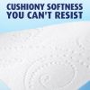 Charmin Ultra Soft Toilet Paper, 9 Mega Rolls